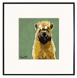 Wheaten Terrier Framed Print