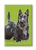 Scottish Terrier Fridge Magnet