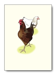 Chickens Card