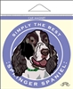 Springer Spaniel