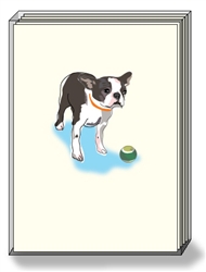 Boston Terrier Note Cards