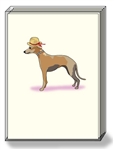 Greyhound Note Cards
