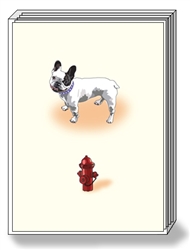 French Bulldog Note Cards