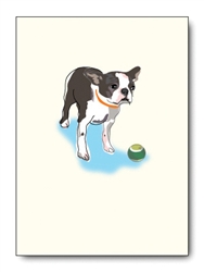 Boston Terrier Card