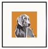 Weimaraner Art