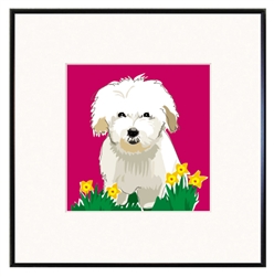 Coton De Tulear Art