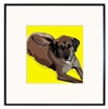 Rhodesian Ridgeback Art