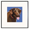 Chesapeake Bay Retriever Art