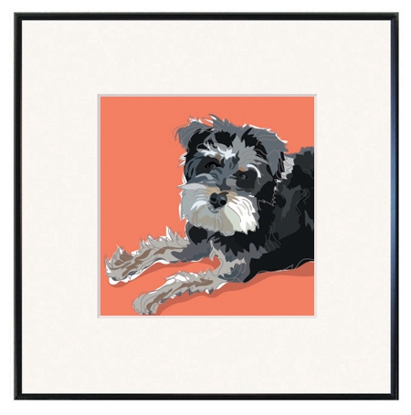 Schnoodle art best sale