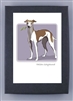 Italian Greyhound