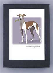 Italian Greyhound