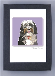 Tibetan Terrier