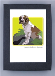 Welsh Springer Spaniel