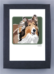 Collie