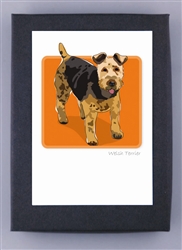 Welsh Terrier