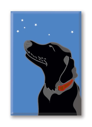Greeting cards black lab in snow with starry sky 