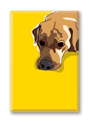 Yellow Lab, Laying Down Fridge Magnet