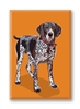 German Shorthaired Pointer