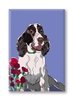 Springer Spaniel