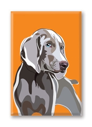 Weimaraner