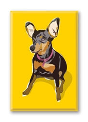 Minature Pinscher