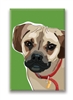 Puggle