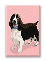 Springer Spaniel