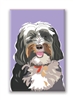 Tibetan Terrier