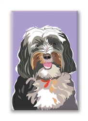 Tibetan Terrier