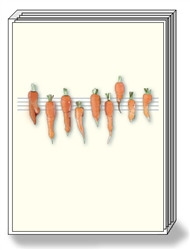 Carrot Note Cards
