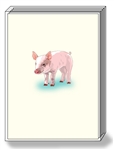 Pig Note Cards