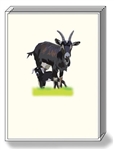 Goat Note Cards