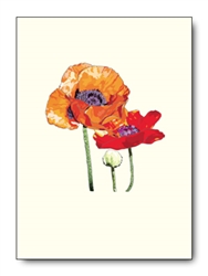 Poppies Single Notes (1 Card)