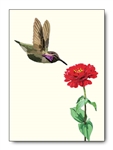 Hummingbird Dahlia Card
