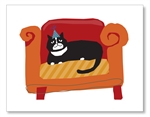 Cat on Couch Cards