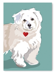 White Dog Greeting Card