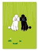 Poodles Greeting Card