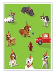 8 Dogs Birthday