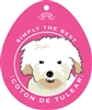 Coton De Tulear