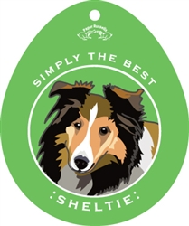 Sheltie