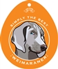 Weimaraner