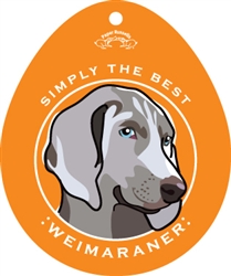 Weimaraner